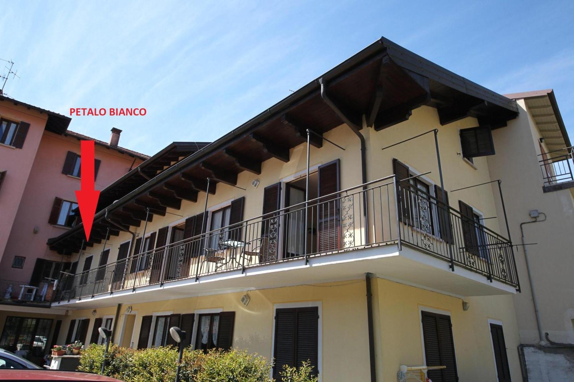 Petalo Bianco 100M From Lake - Happy Rentals Baveno Dış mekan fotoğraf